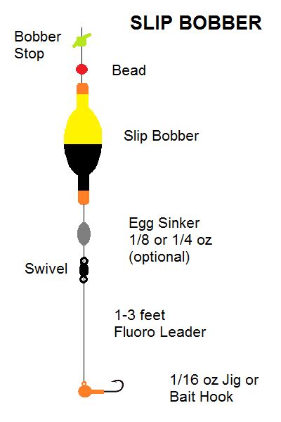 The Only Bobber Fishing Guide You’ll Ever Need • Fishing Duo