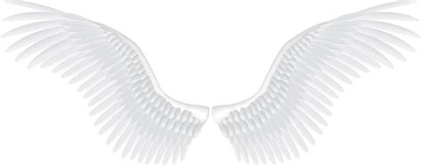 Download Angel Pattern - White angel wings PNG png download - 2104*832 ...