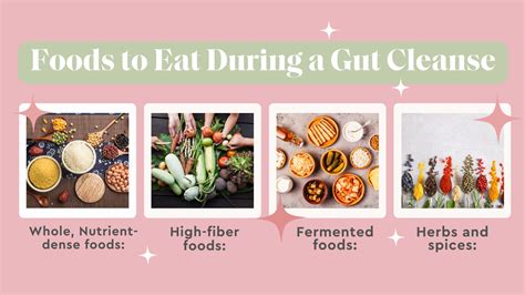 The Ultimate Guide to Gut Cleansing - Jess Wilson