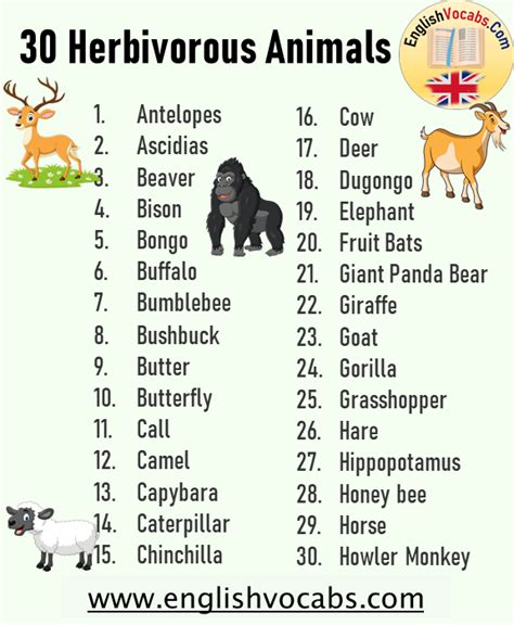 30 Herbivorous Animals Name List - English Vocabs