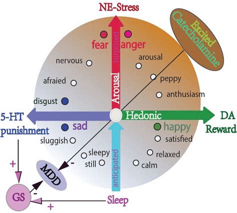 The different effects of monoamine on emotional arousal and sleep, on ...