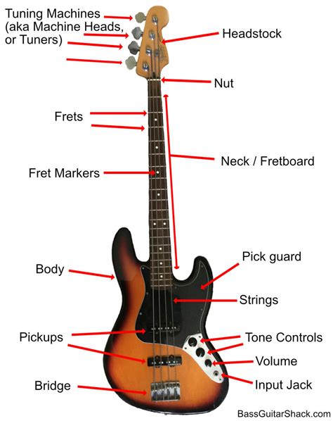 Bass Guitar Anatomy: Parts of a Bass Guitar - Bass Guitar Shack