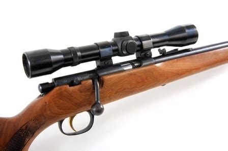 Mounting a Scope on Your .22 Rifle | Outdoor Life