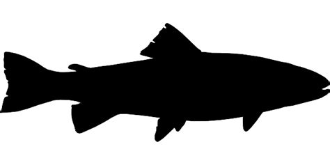 Download Fish, Black, Fishing. Royalty-Free Vector Graphic | Fish ...