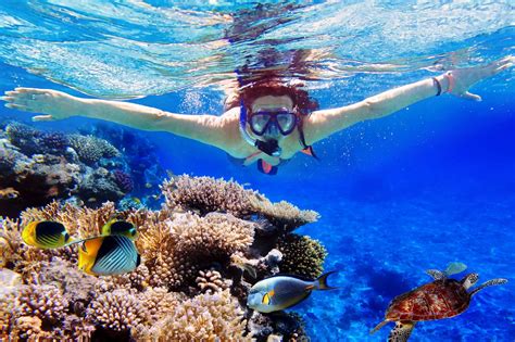 Blue Lagoon Snorkelling and Tegenungan Waterfall Tour in Bali in Bali ...