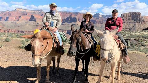 Phantom Ranch Mule Ride March 2019 Brian Jamie Wally