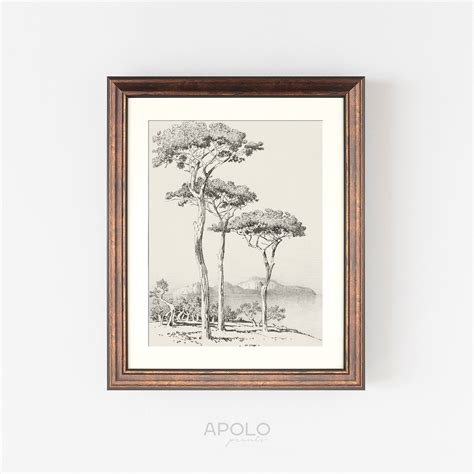 Lake Trees Drawing Print 17 Vintage Pencil Tree Sketch - Etsy