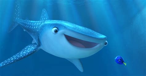 Is Destiny From 'Finding Dory' A Whale Or A Shark? The Character's ...