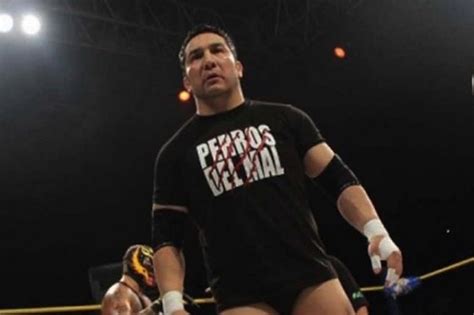 Perro Aguayo Jr. dies after dropkick from Rey Mysterio (Video)