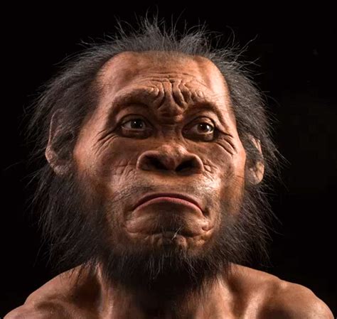 Homo naledi: New Species of Human Ancestor Discovered | Anthropology ...