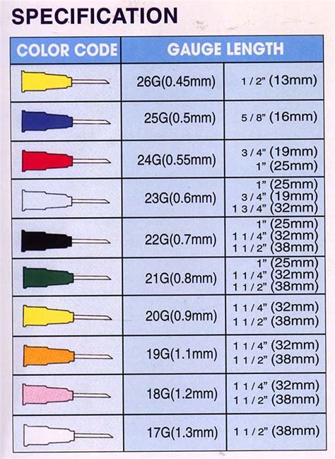 Needle gauge comparison chart | Phlebotomy, Nursing tips, Medical ...