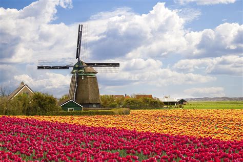 10 Best North Holland Tours & Trips 2023/2024 - TourRadar