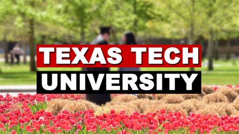 Texas Tech Athletes boast high semester GPA