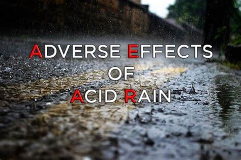 Adverse Effects of Acid Rain on the Environment | Earth Reminder