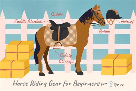 Basic Equipment You Need for Your First Horse