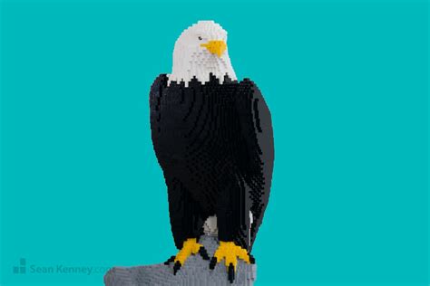 Sean Kenney's art with LEGO bricks : American bald eagle