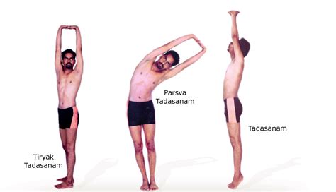 Discover 135+ tadasana palm tree pose super hot - stylex.vn