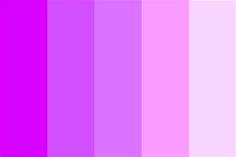 Bright To Light Purple Color Palette