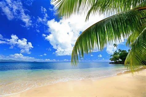 13 BEST Beaches in Fiji that you NEED to See - Destinationless Travel