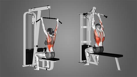 Lat Pulldown Machine Exercises: Attachments and Alternatives Explained ...