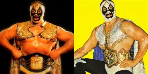 10 Things Wrestling Fans Should Know About Mil Mascaras