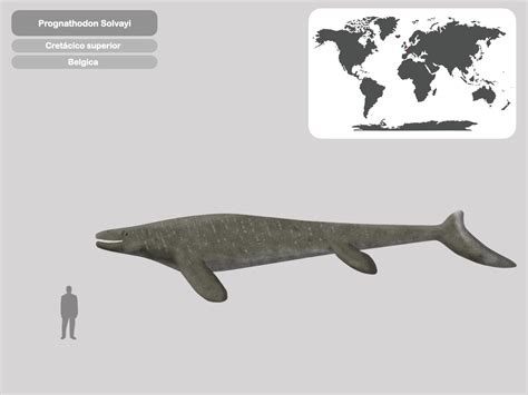 Perfil Prognathodon Salvoyi by PaleoHistoric on DeviantArt