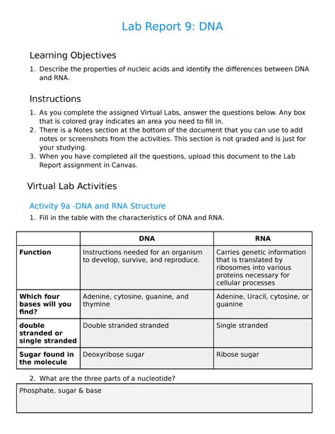 Lab Report 9 - DNA - 1. Describe the properties of nucleic acids and ...