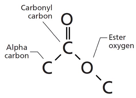 Ester Functional Group Examples