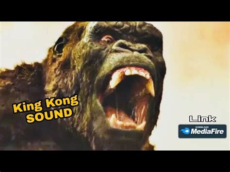 KING KONG ROAR SOUND EFFECT - MONSTER KONG - YouTube