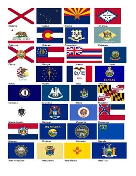 US State Study - State Flags by Julie Seidel | Teachers Pay Teachers