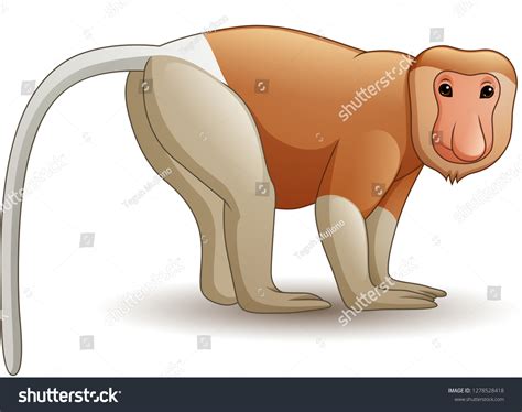 Cartoon Proboscis Monkey Stock Vector (Royalty Free) 1278528418 ...