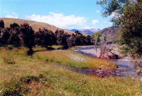 Wairau Valley, South Island, New Zealand | South island, New zealand ...