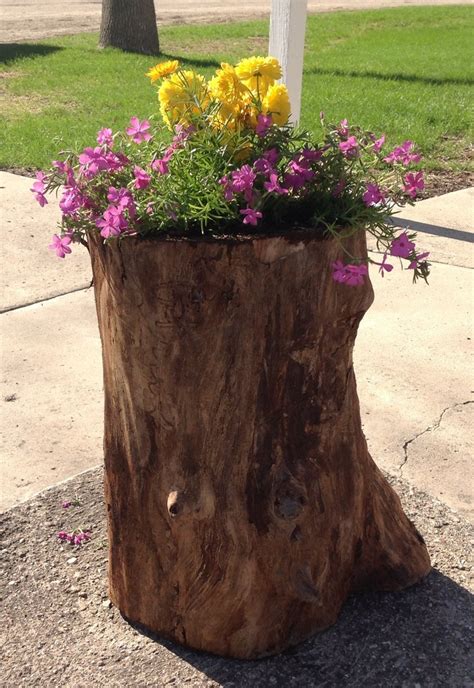 Tree stump planter | Tree stump planter, Tree stump decor, Tree stump