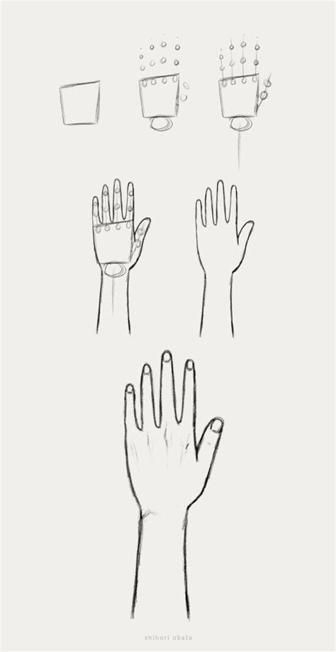 four hands are shown with different shapes and sizes