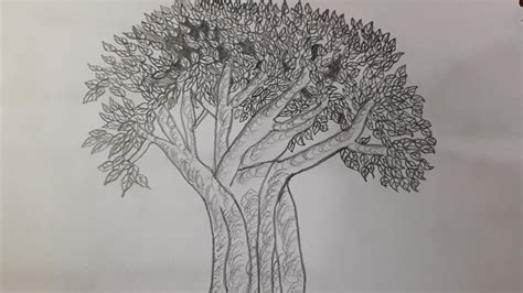 How to draw peepal tree step by step/peepal ka ped asani se bnaye ...