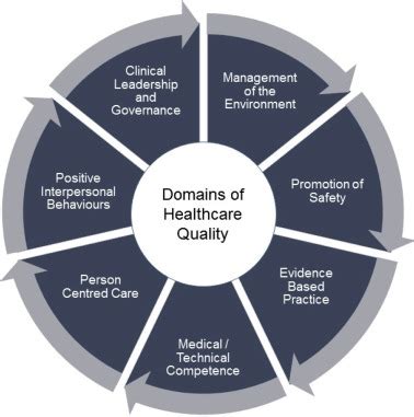 A framework of nurses’ responsibilities for quality healthcare ...