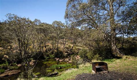 Junction Pools campground | NSW National Parks