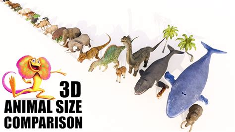 Animal Size Comparison | New🐫🐘🐳🐊🦝🦖| Version 2.0 - YouTube