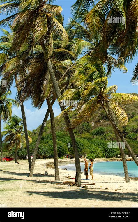 Cockleshell Bay beach. Cockleshell Bay beach, St Kitts Stock Photo - Alamy