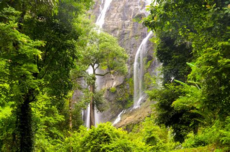 Khao Lak National Park in Khao Lak, Thailand | Day Tripe with ...