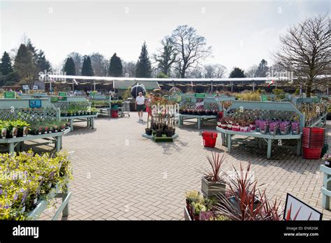 Hayes Garden World Centre Ambleside Cumbria Lake District Stock Photo ...