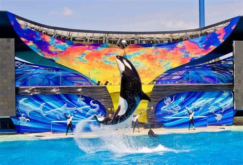 File:SeaWorld San Diego5.jpg - Wikimedia Commons