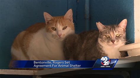 Rogers/Bentonville Animal Shelter - YouTube