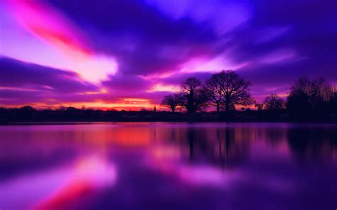 Purple Scenery Wallpapers - 4k, HD Purple Scenery Backgrounds on ...