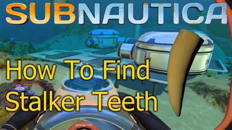 Subnautica Stalker Teeth: Easiest Ways to Get It