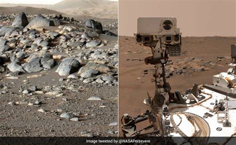 NASA's Perseverance Rover Discovers Samples Of Microbial Life On Mars ...