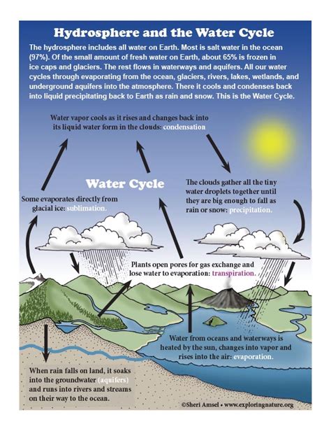 Hydrosphere and the Water Cycle Diagram (Color)