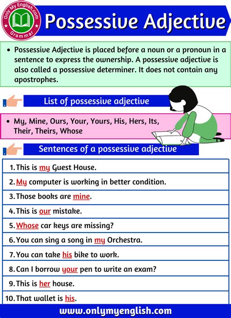 Possessive Adjective: Definition, Examples & List Verb Examples In ...