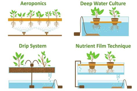 High Pressure vs Low-Pressure Aeroponics Compared - Gardenia Organic