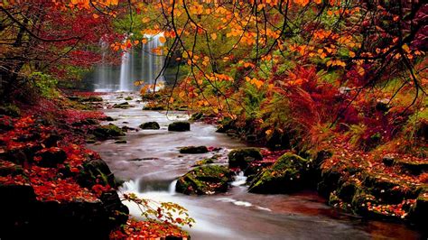 🔥 Free Download Fall Nature Desktop Wallpaper Top by @agraham ...